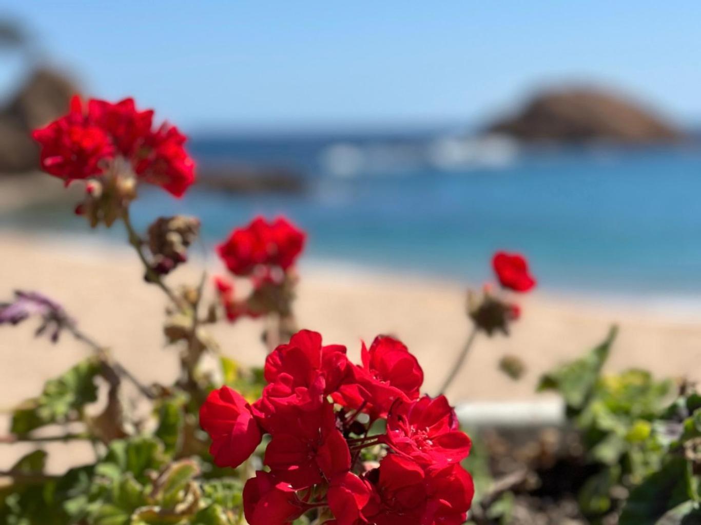 Atico Con Vistas Al Mar A Un Paso Del Centro Apartment Бланес Екстериор снимка